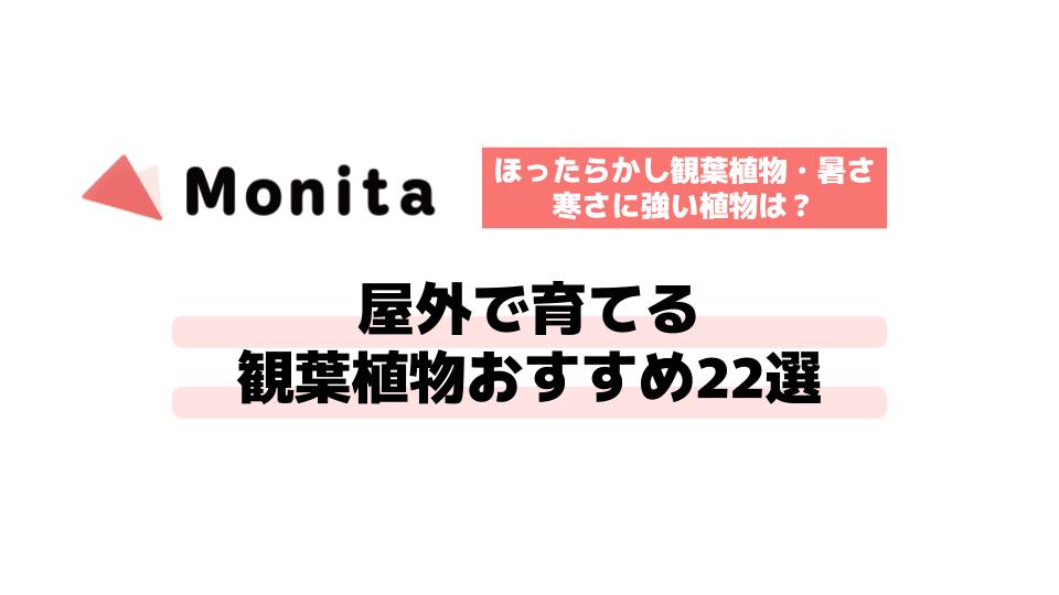 記事id:884のサムネイル画像
