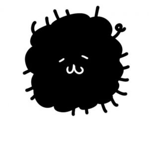 専門家プロフィール画像