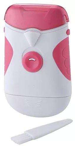 電池式