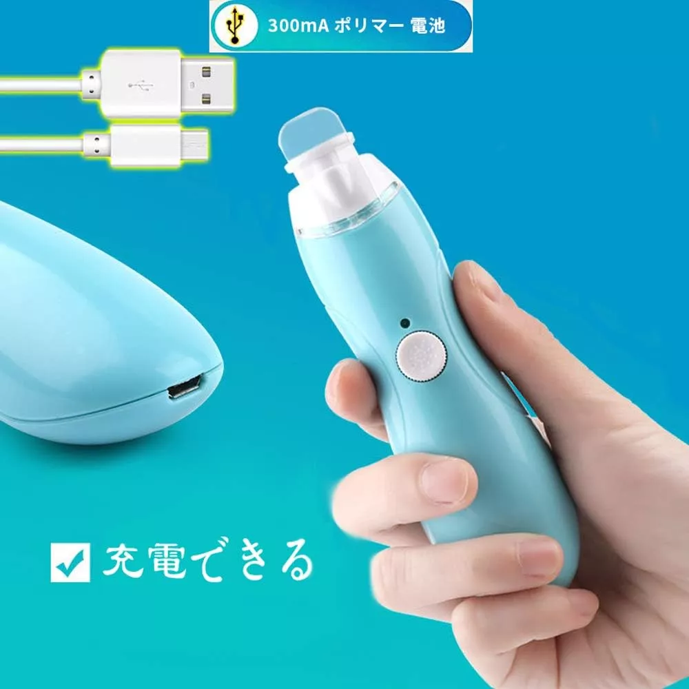 充電式