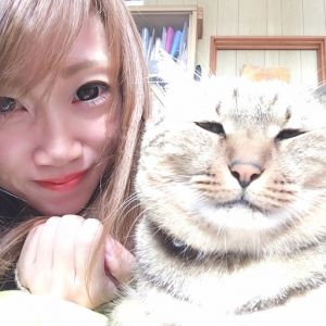 の画像